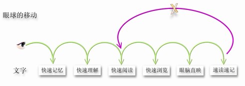 消除眼跳舊習慣，快速閱讀你也能！  —— 精英特速讀記憶訓練網