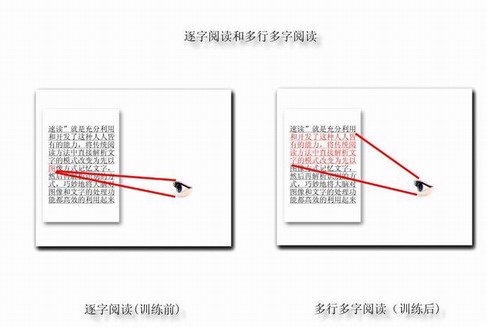 一目十行不是夢,過目不忘你也能! —— 精英特速讀記憶訓練網(wǎng)